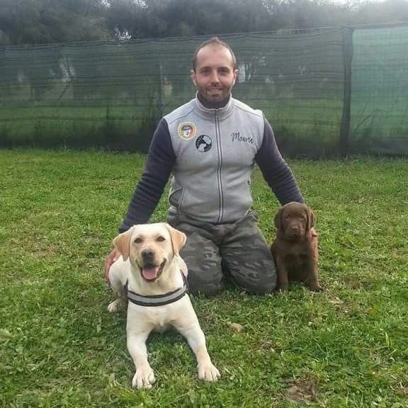 Mauro Carta educatore cinofilo con due allievi Labrador