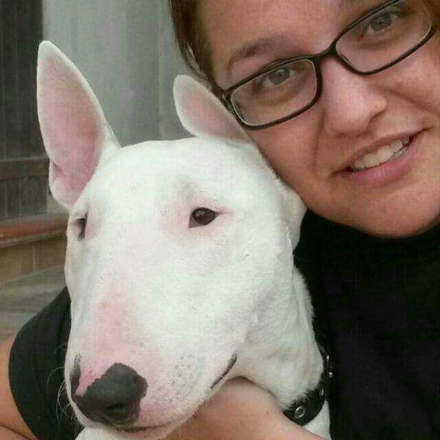 Laura Figus educatore cinofilo e il suo bull terrier Bullo