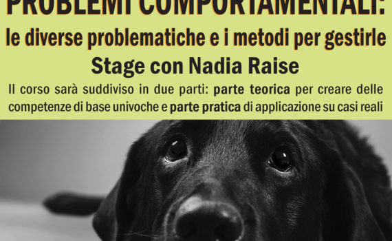 problemi comportamentali - stage con Nadia Raise