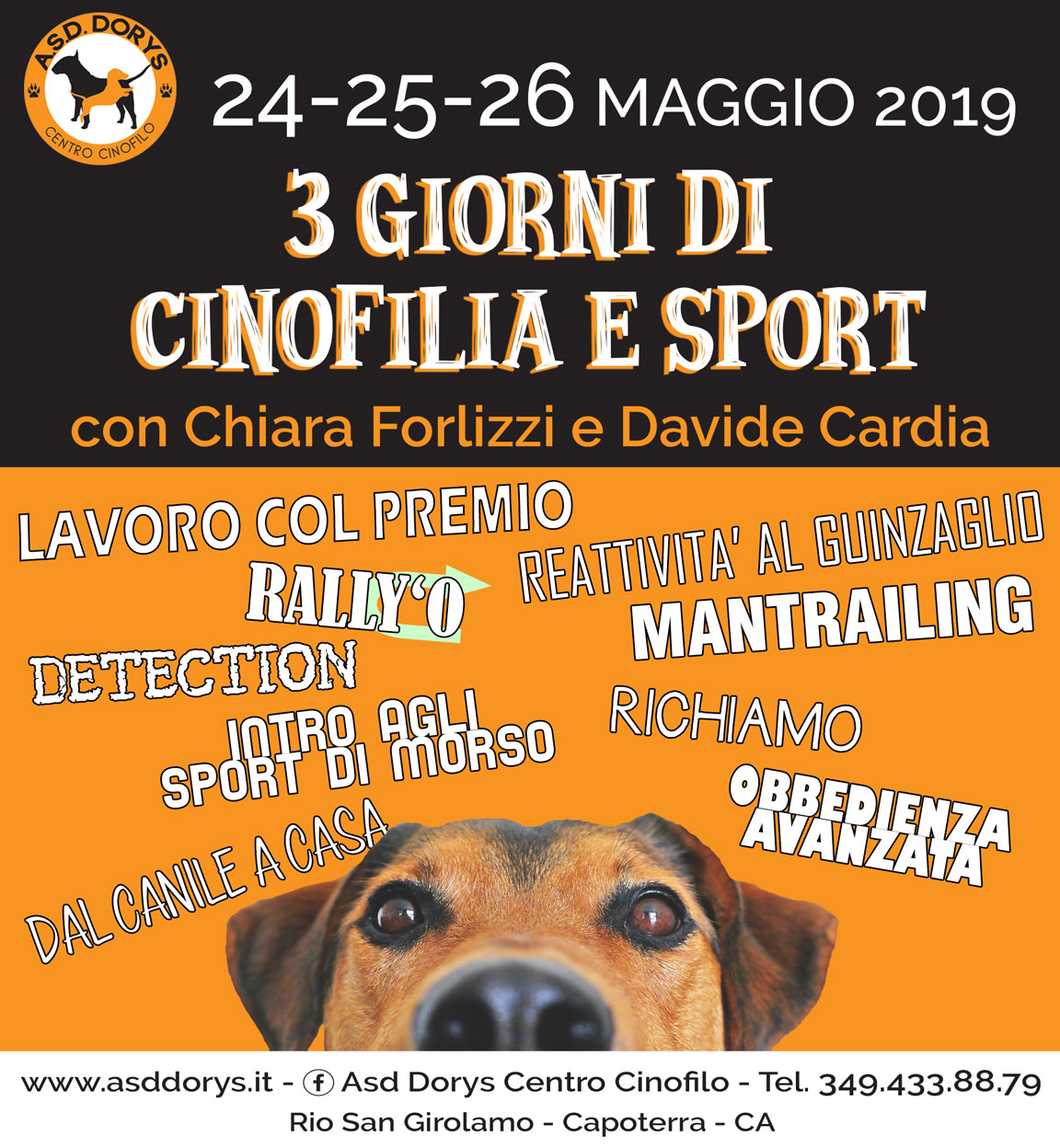 stage forlizzi cardia