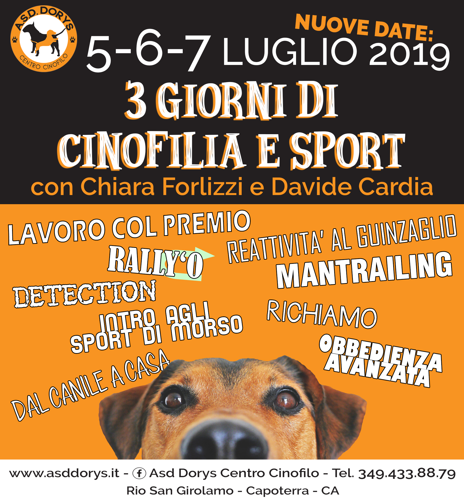 stage cardia 2019