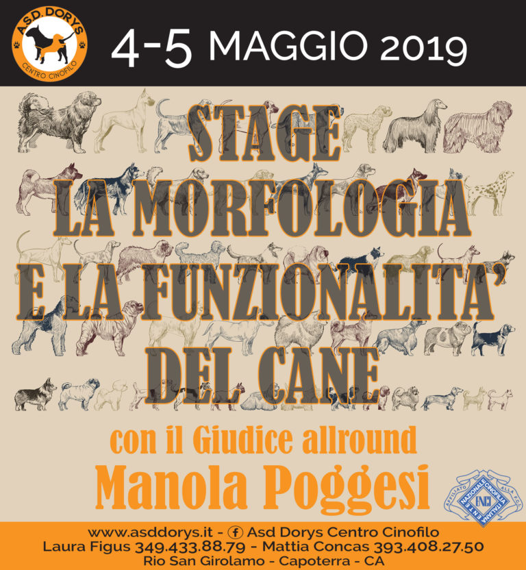 stage Manola Poggesi