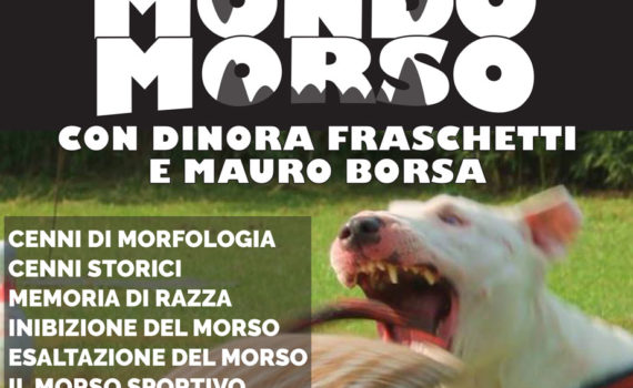 mondo morso