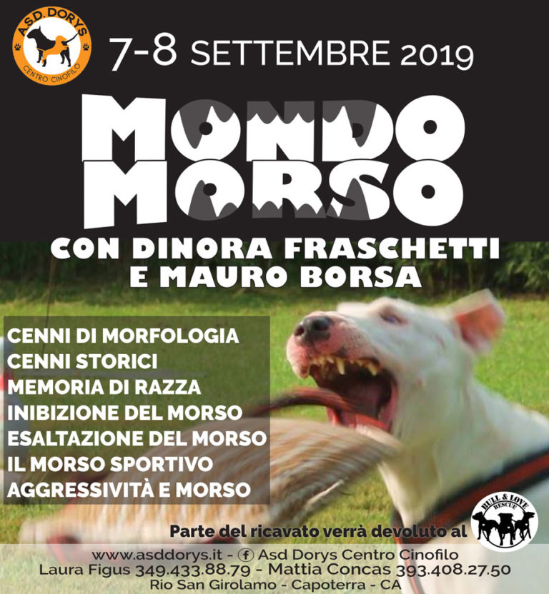 mondo morso