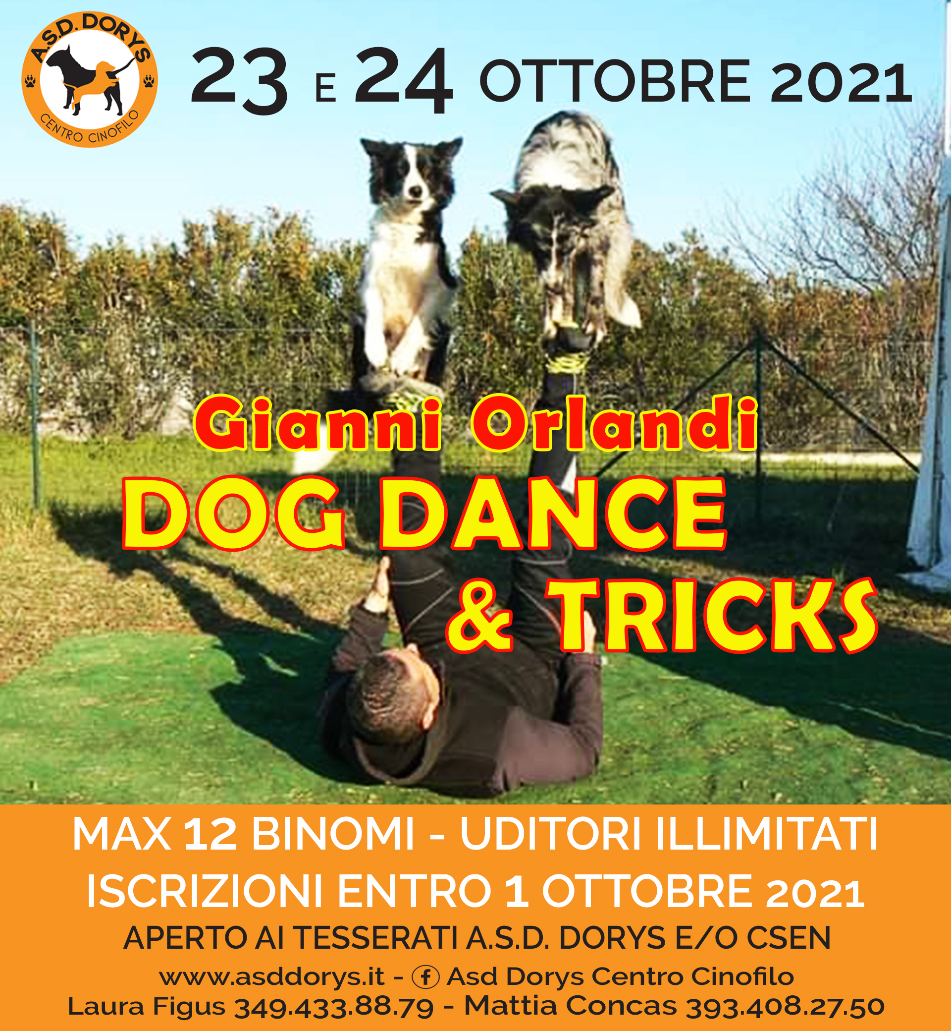 dog dance orlandi