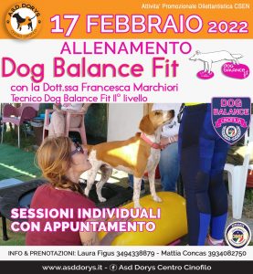 allenamento Dog Balance Fit