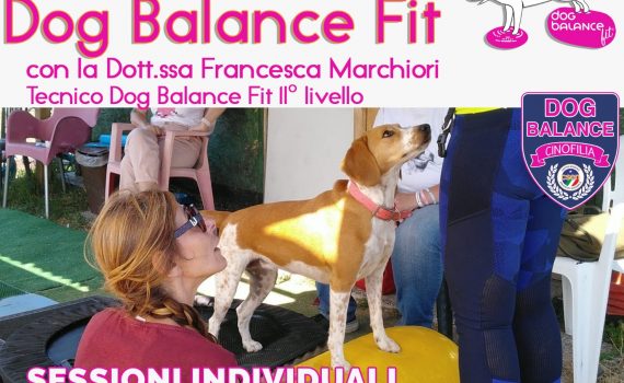 allenamento Dog Balance Fit