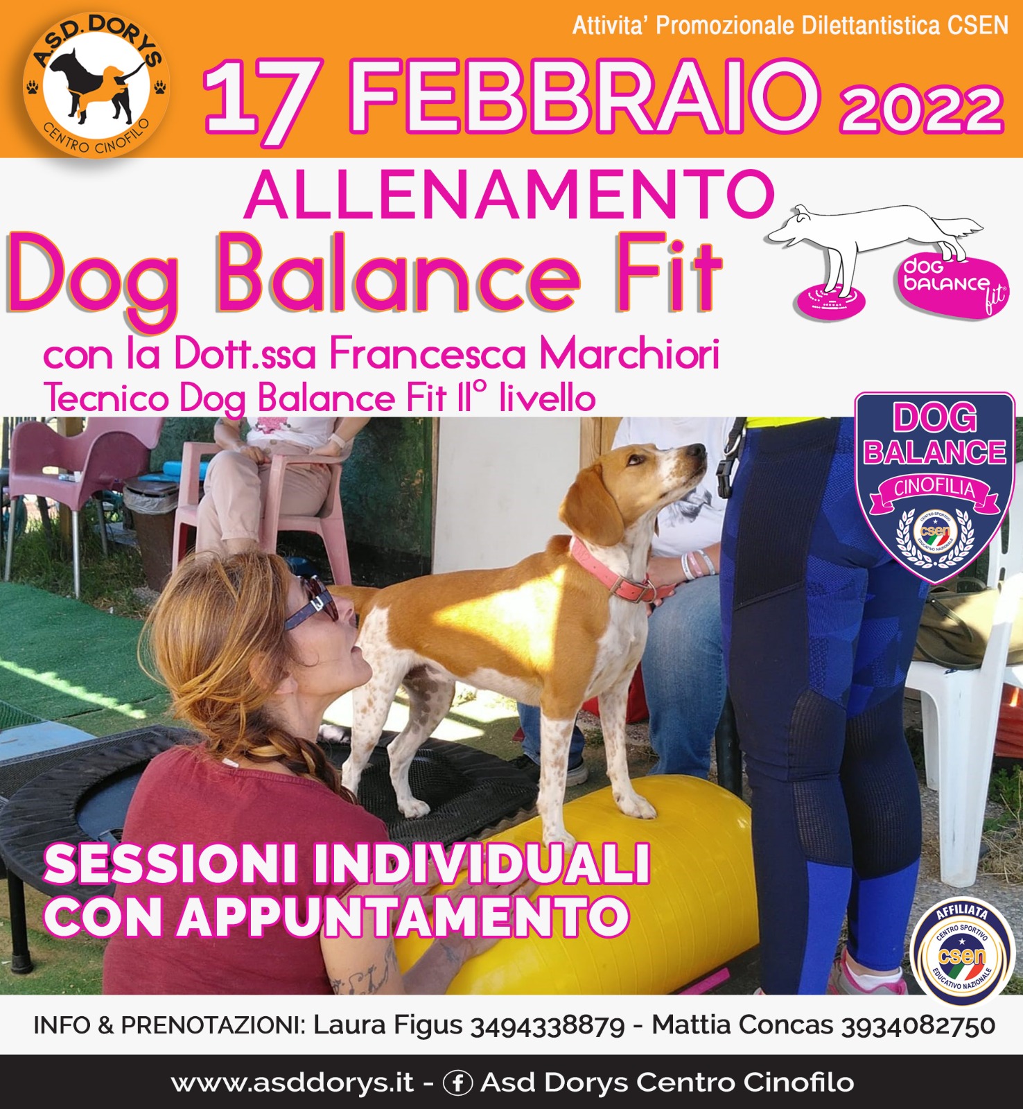 allenamento Dog Balance Fit