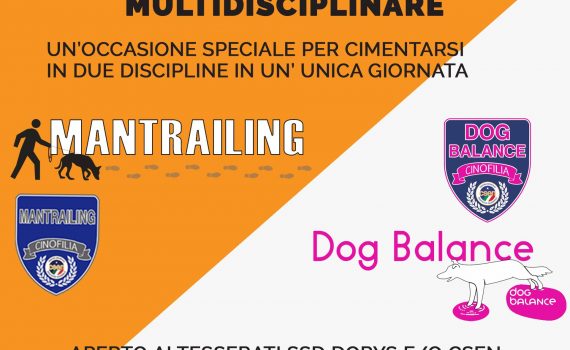 allenamento multidisciplinare