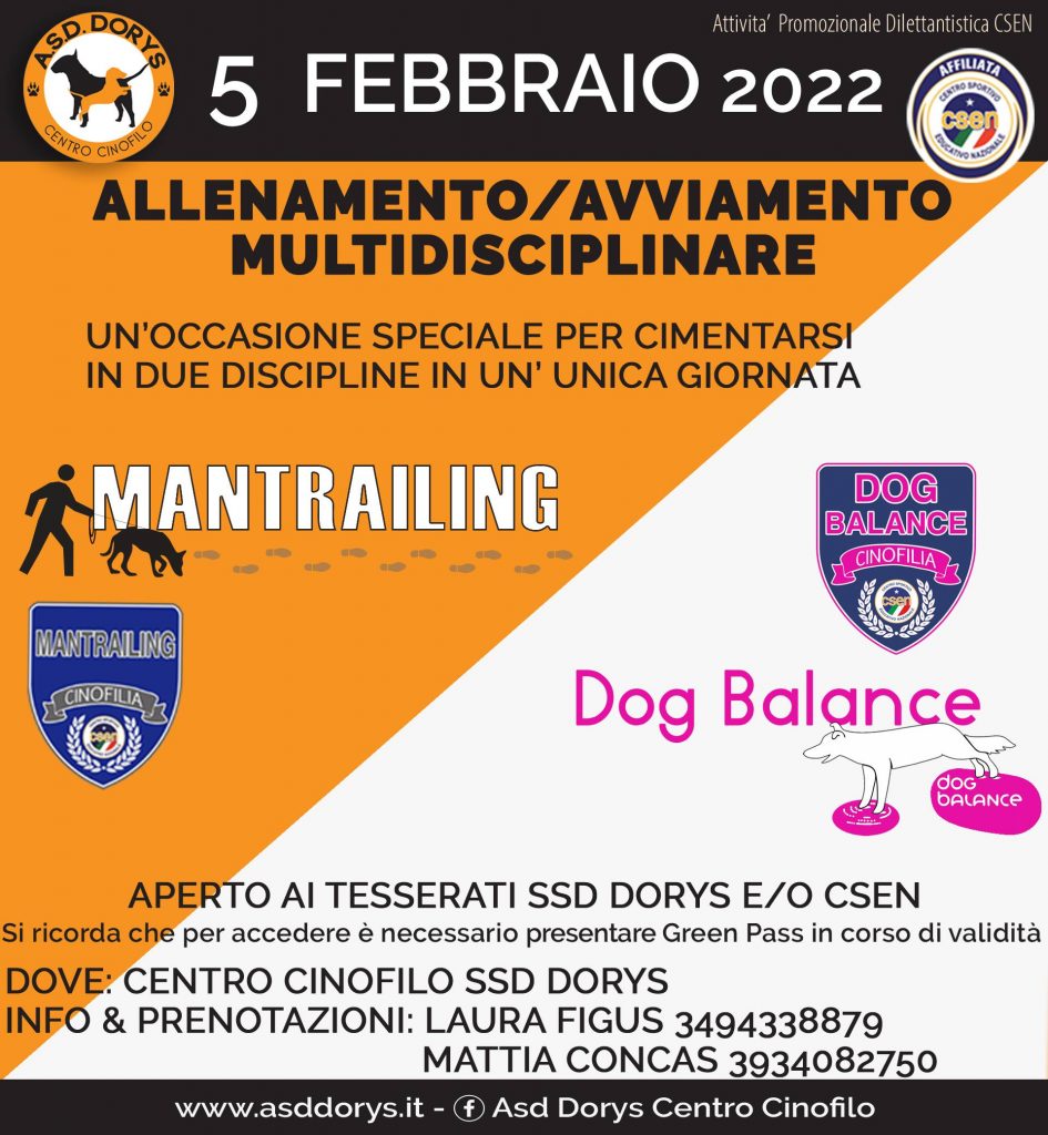 allenamento multidisciplinare