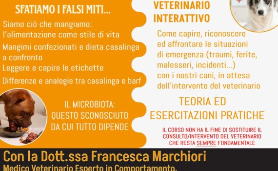 alimentazione primo soccorso