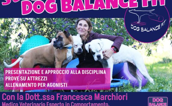 stage dog balance 20 gennaio 2024