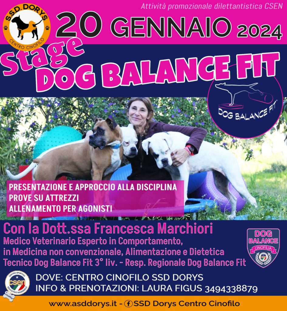 stage dog balance 20 gennaio 2024